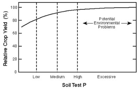 Line graph showing percent yield leveling off between medium and high soil test P