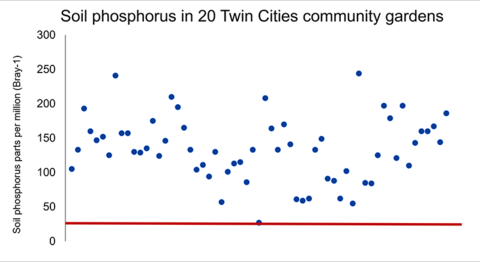 A graph showing soil phosphorus levels from 20 community gardens, reported in parts per million, using the Bray-1 method. Blue dots represent samples. Three samples were taken from each garden. The red line represents “very high” phosphorus levels. All of the dots are above the red line.