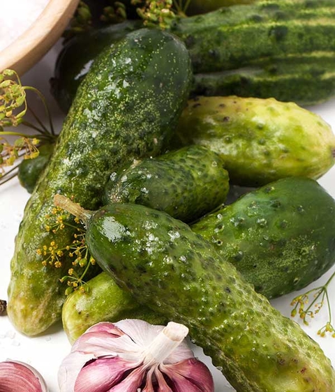 Pickled pickles cucumbers.