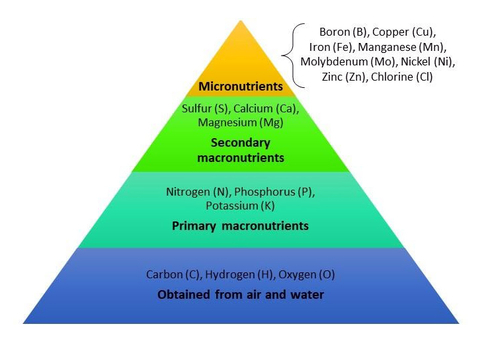 Pyramid diagram of nutrients stacked from top: Micronutrients (boron, copper, iron, manganese, molybdenum, nickel, zinc, chlorine); Secondary macronutrients (sulfur, calcium, magnesium); Primary macronutrients (nitrogen, phosphorus, potassium); Obtained from air and water (carbon, hydrogen, oxygen).