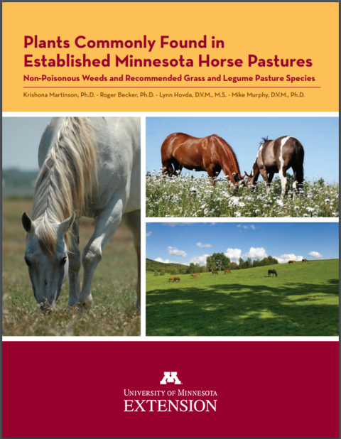 Cover of book Plants Commonly Found in Established Minnesota Horse Pastures