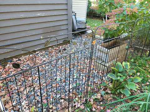 A black metal garden fence.
