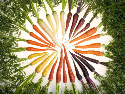 Multi colored carrots placed in a circle with the tips in the center and the greens spreading out around them.