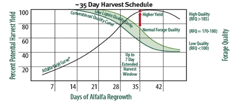 A figures showing that reducing the lignin concentration of alfalfa varieties (low lignin quality curve) will result in higher forage quality at all typical harvest times
