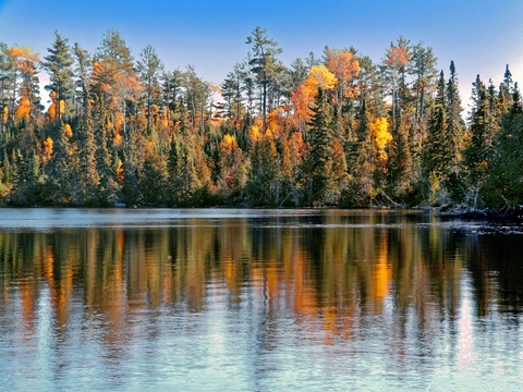 Autumn forest reflected in the waters of a lake