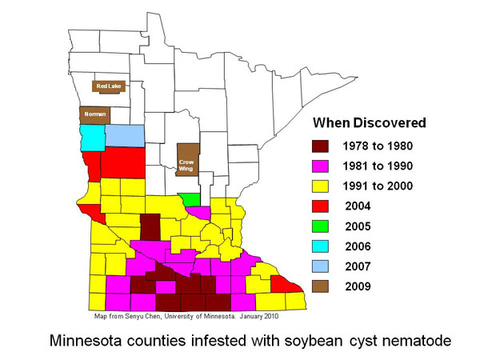 State of Minnesota counties map with colors indicating what years soybean cyst nematodes were noticed in that area.
