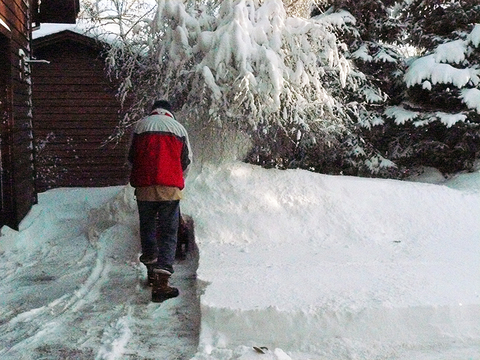 Man in winter clothing using a snowblower to remove snow from a driveway and blowing it onto a birch tree and two large spruce trees.