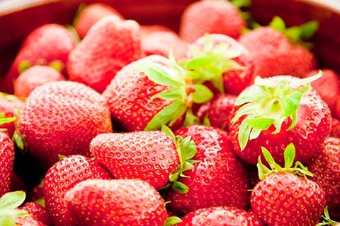 Closeup of red strawberries.