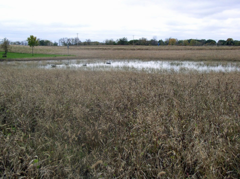 draining defined wetlands
