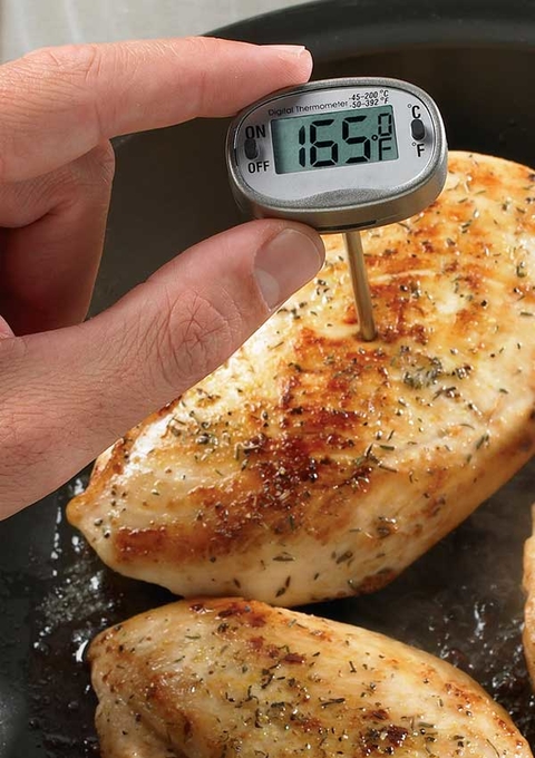 Thermometer in a chicken breast.