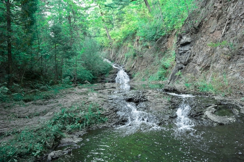 A peaceful waterfall surrounded by pine and deciduous trees