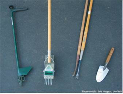 Four garden tools laid flat on ground. 
