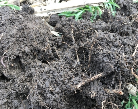 Well-aggregated soil