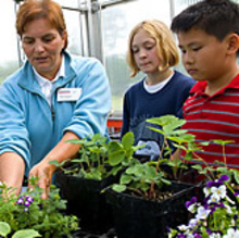 Woman showing children plants