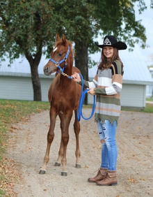 2021 winner Chloe with her Arabian horse