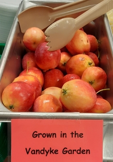 Reddish shiny crabapples are in a stainless steel bin with tongs. Sign reads "Grown in the Vandyke Garden."