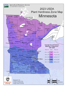 Screenshot of the 2023 USDA Minnesota Plant Hardiness Zone Map - a map of Minnesota with assigned colored zones