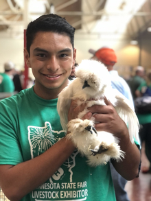 teen holds up white silky chicken. He is smiling and wearing a 4-H green shirt.