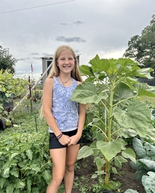 A girl standing next to her giant sunflower plant. 