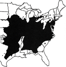 Map of black walnut range in the United States