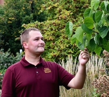 A person in a maroon U of M shirt reaches out to touch tree leaves