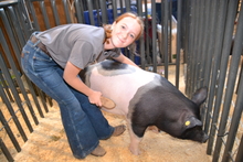 4-H teen with pig in pen