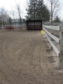 Dry lot paddock with dirt surface and fence.