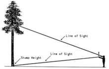 Black and white diagram showing a person estimating merchantable tree height with a graduated stick