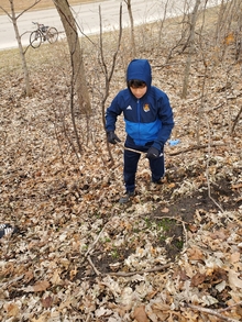 A young boy hikes through a wooded area looking for emerging leaves in the ground.