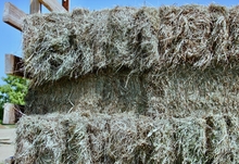 Stack of small square hay bales