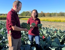 Two people wearing University of Minnesota polo shirts stand in field with broccoli heads in hand.