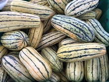 a big pile of oblong delicata squash, which is cream colored with spots of orange and green stripes.