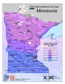 Screenshot of the 2012 USDA Plant Hardiness Zone Map for Minnesota - a map of Minnesota with the assigned colored zones.