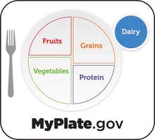 Myplate focus on dairy