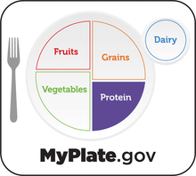 Myplate focus on protein