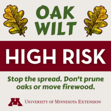 Oak wilt high-risk graphic with text that reads “Stop the spread. Don’t prune oaks or move firewood.”