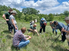 A group of staff and volunteers work in the prairie