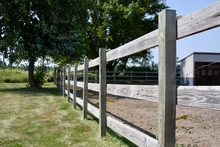 Wooden horse fencing