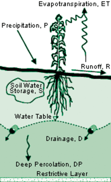 soil water balance