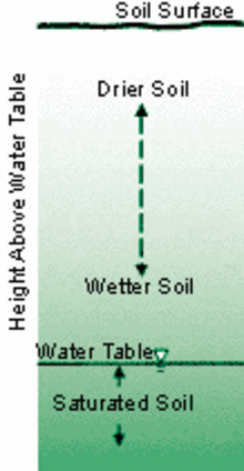 Soil moisture variation