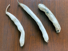 Three bean pods with a wooden table background. Two look clean and relatively spot-free; one has dark spots that are indicative of a disease. 