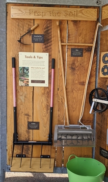 Tools hanging on the wall of a wooden shed. On the left is a broadfork, a steel U-shaped frame with steel teeth coming out the bottom like a fork. On the right is a tilther. It has wooden handles and a steel base, which encapsulates a rotating wheel with metal tines.