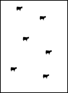 Diagram of cows on a continuous grazing system