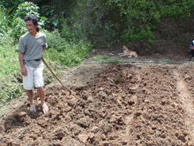 barefoot man manually hoeing soil with dog in background.