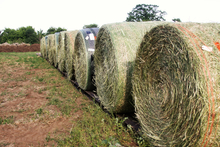 Round hay bales side by side wrapped in twine, net and B-wrap.
