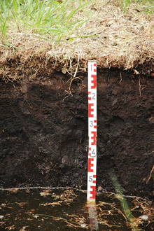 histosol soil layers in soil pit