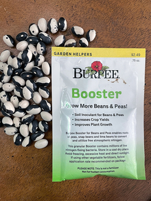 A packet of rhizobia inoculant labeled “Booster: Grow More Beans and Peas!” from Burpee on a wooden table. There are black and white beans next to the packet for scale.
