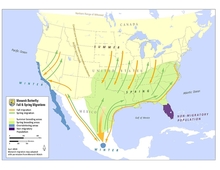 Map of North America showing the monarch migration pattern from the U.S. to Mexico.