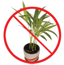 potted plant with the graphic sign for "no" over it (a circle with a diagonal line through it)