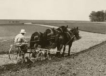 man riding on a plow pulled by three horses.